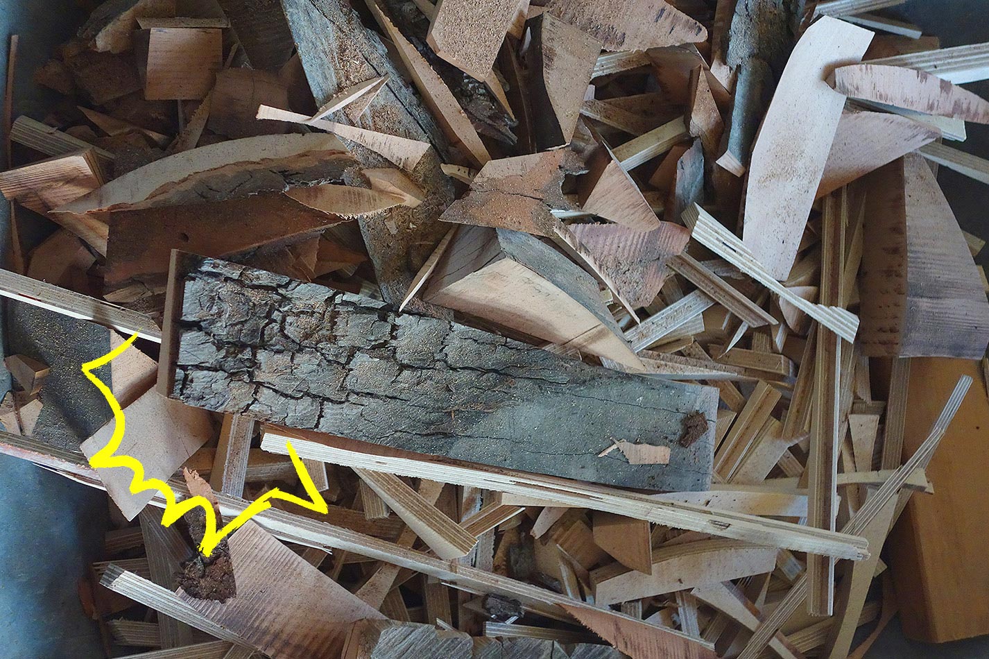 Allez-Klettergriffe schonen die Umwelt und sind absolut nachhaltig Klettergriffe aus hochwertigen Holz-Abschnitten